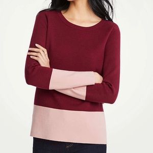 NWT Ann Taylor Colorblock Sweater - XL